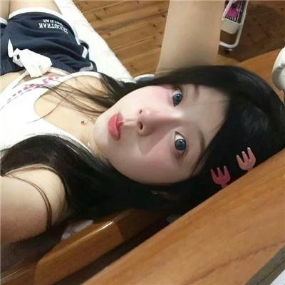 白鸥啊 不要飞起来